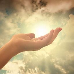 Website preview